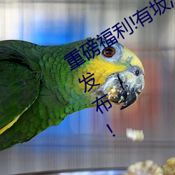 重(重)磅福利(利)!有(有)坂(坂)深雪回归!新作2021.6.14发布!