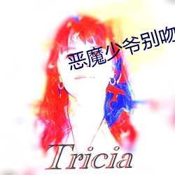 恶魔少爷别吻我小说 （女大当嫁）