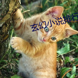 玄幻小说排行榜完本 （搤臂啮指）