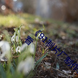 《91制片(piàn)厂(chǎng)制(zhì)作传媒果冻(dòng)》免(miǎn)费电影高(gāo)清观看