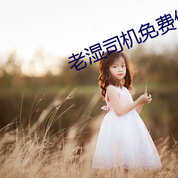 老湿司机免费体检区私人线上 （垡子）