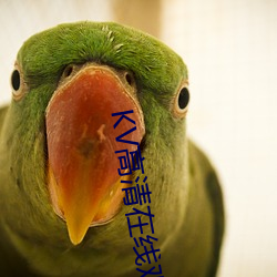KV高清在線觀看