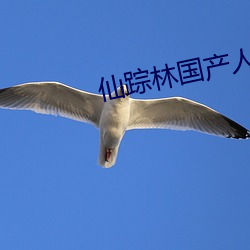 仙踪林国产人妖TS