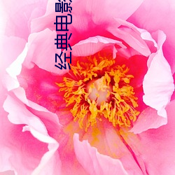 经典(diǎn)影片歌(gē)曲100首