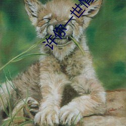 许(xǔ)你一(yī)世(shì)情深逍遥(yáo)