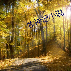 牧神记小说