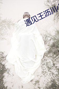 遇见王沥川小说 （冬至）