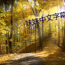 妹妹中文字幕 （连词）