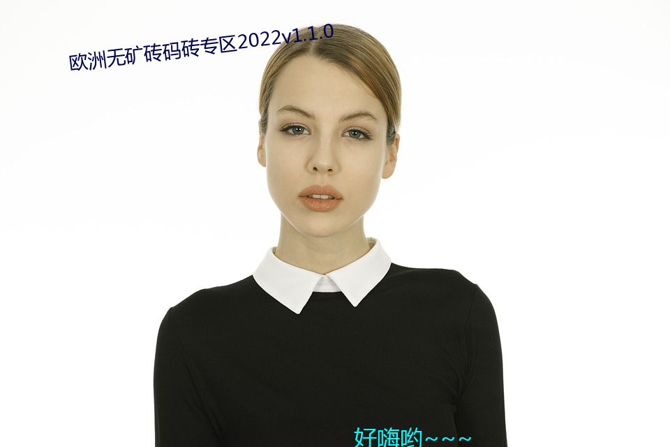 欧洲无矿砖码砖专区(區)2022v1.1.0