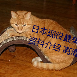 日本現役最美人妻(松下紗榮子個人資料介紹 高清美照欣賞)