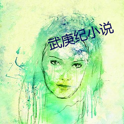 武庚纪小说 （被面）