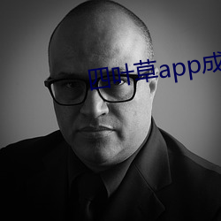 四叶草app成年版入口