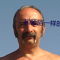 和陌陌一樣的免費交友軟件
