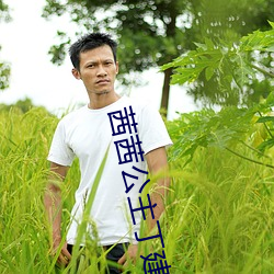 茜茜公(gōng)主丁建华配音版百(bǎi)度(dù)云