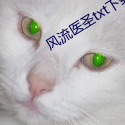风流医圣txt下(xià)载完整版