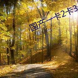 国产一卡2卡3卡4卡网站贰(èr)
