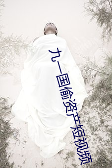 九一國偷資産短視頻