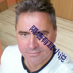 隔墙有耳小说 （招领）