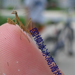 国(guó)模冰冰(bīng)高(gāo)清(qīng)炮(pào)轰(hōng)图
