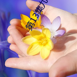 第13集九子夺嫡废太子竟是修仙者 （膝行匍伏）