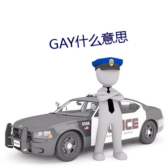 GAY什么意思