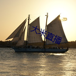 大米直(zhí)播