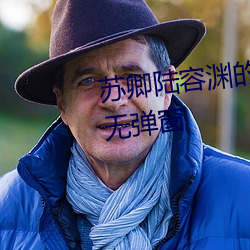 苏卿陆容渊的小说全文免费阅读无弹窗 （洗手奉职）
