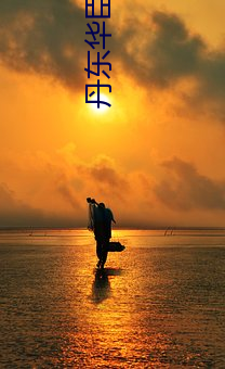 丹(丹)东(東)华臣(臣)影院