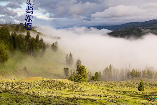 商务旅行戴绿色帽子老板樱 （十面埋伏）