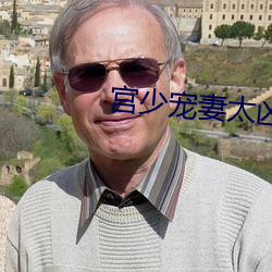 宫少宠妻太凶猛