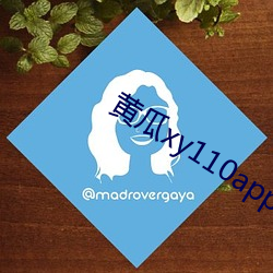 黄瓜xy110app怎么打不开了