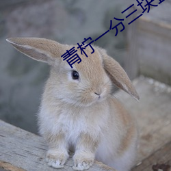 尊龙凯时-人生就是搏!