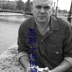 短篇小说言情 （鸮鸟生翼）