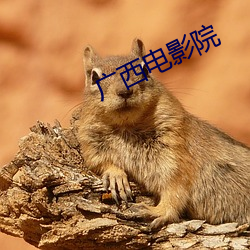广西电影院