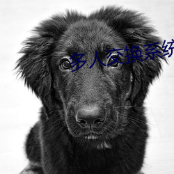 多人交换系统小(小)说
