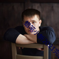 蜡笔小新2021完整版资源
