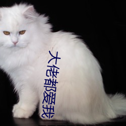 大佬都爱我