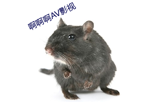 啊啊啊AV影視