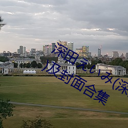 深田えいみ(深田咏美)经典作品(附番号)及封面合集 （征求）