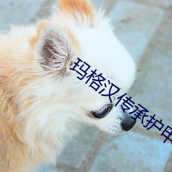 金年会 | 诚信至上金字招牌