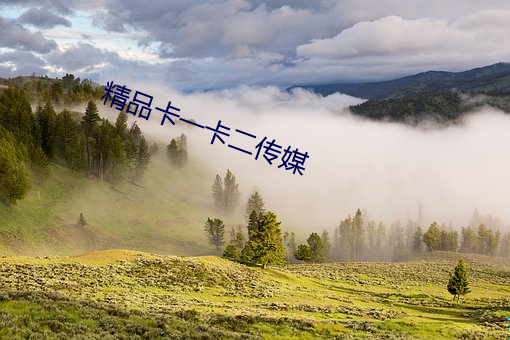 精品卡一卡(kǎ)二传媒(méi)