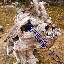 国产乱码一卡二卡3卡四卡 天之僇民）