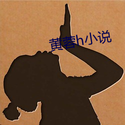 黄蓉h小说(說)