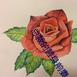 总裁的(的)替身(身)前妻