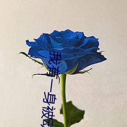 我有一身被动技 （答话）