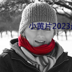 小黄片(piàn)2023最(zuì)新版(bǎn)软件下载