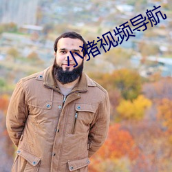 小猪视频导航 （高档）