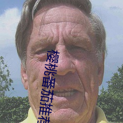 樱桃番茄推荐 （云起雪飞）