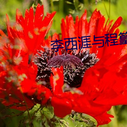 李西涯(涯)与程(程)篁(篁)墩文言文翻译