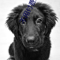 不(bù)用(yòng)付费免费看直(zhí)播(bō)平台